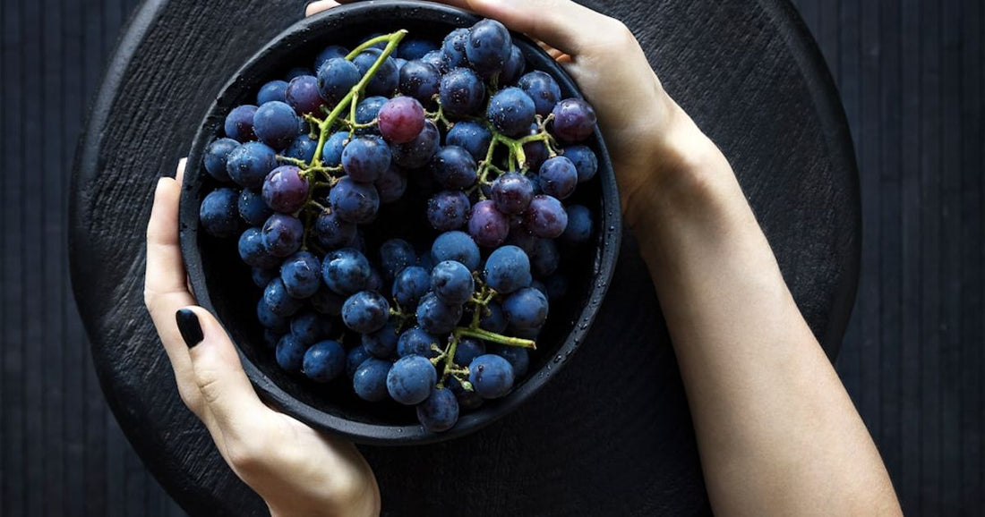 Decoding Spanish Wine Legal Terms