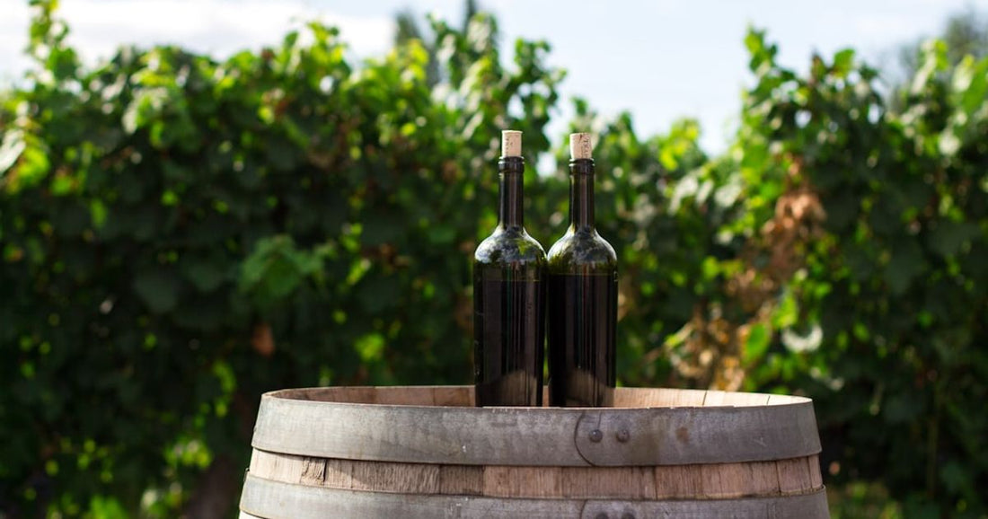 Celebrating Tempranillo: Wine Festivals to Visit