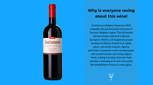 Discover the Excellence of Grattamacco Bolgheri Superiore 2021