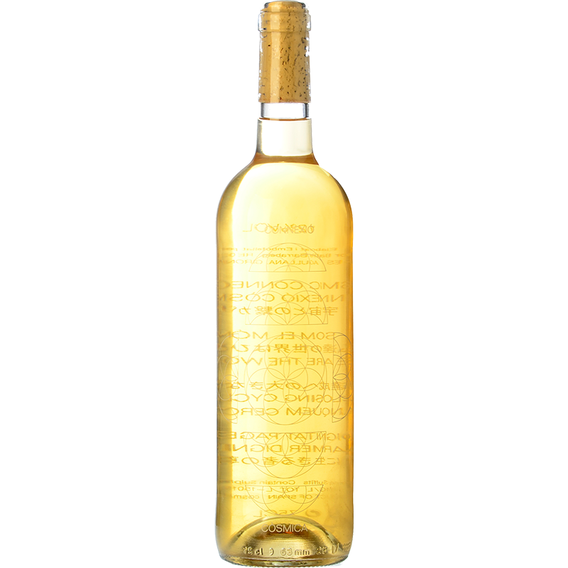 Còsmic Connexió Còsmica 2024