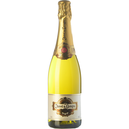 Juvé & Camps Millésimé 2019