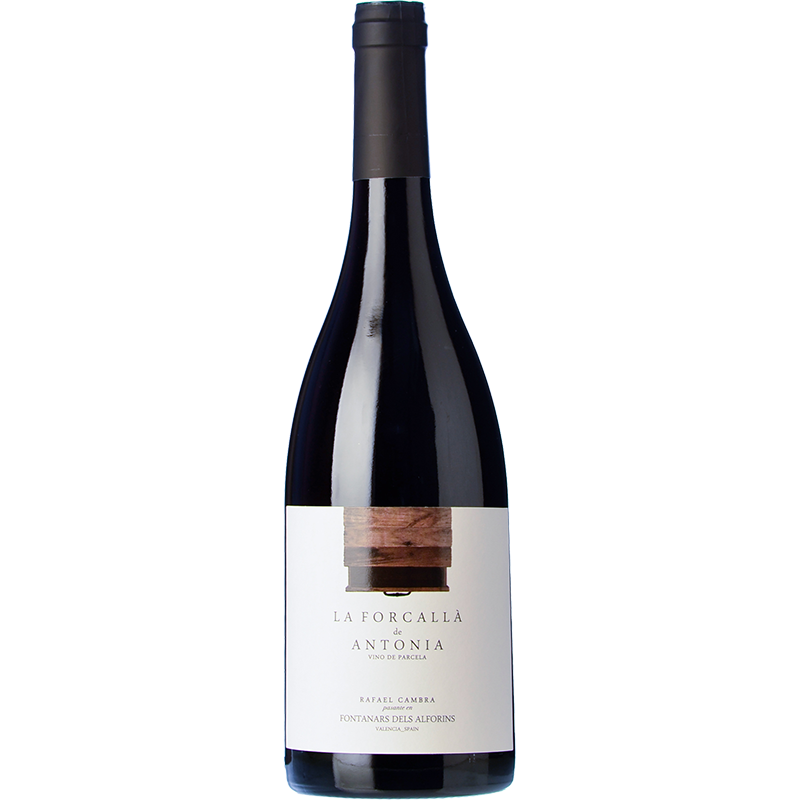 La Forcallà de Antonia 2023