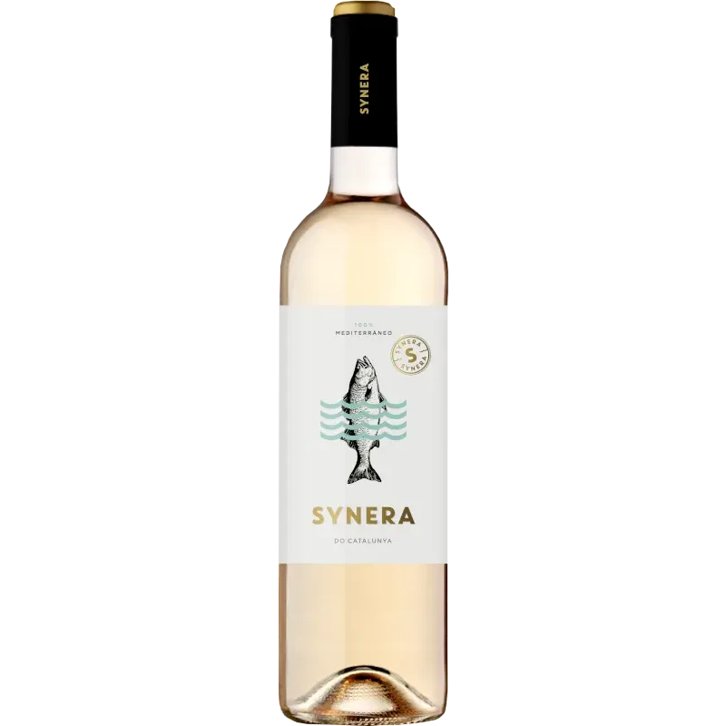 Synera Blanc 2024