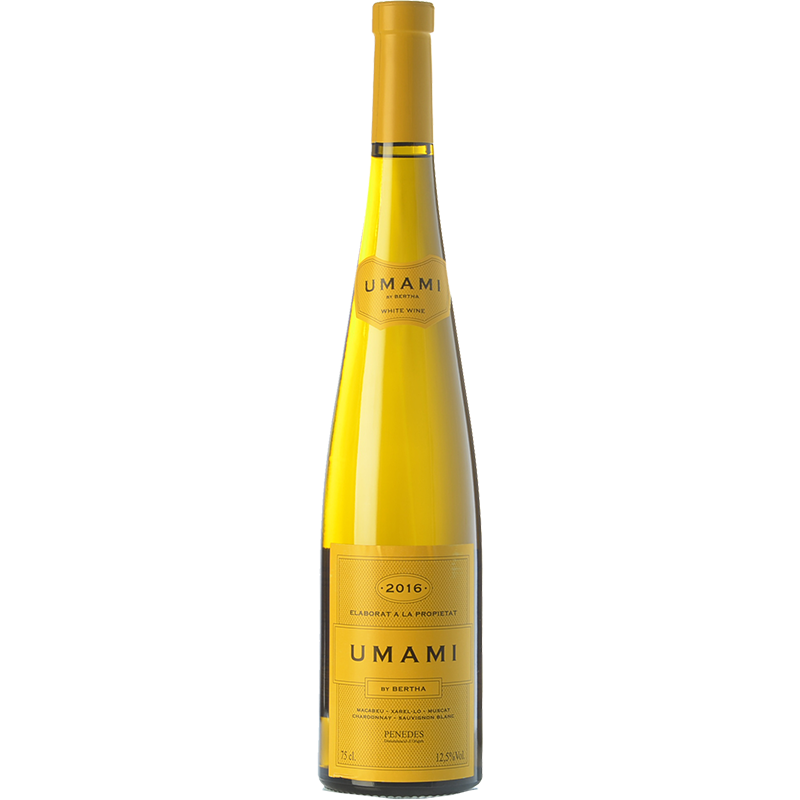 Umami by Bertha 2024