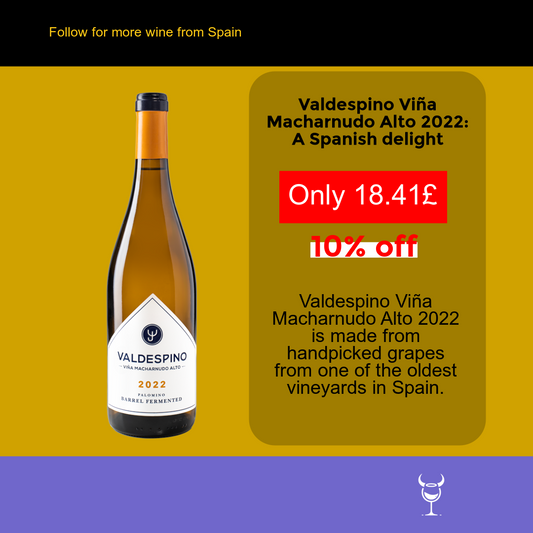 Unveiling the Elegance of Valdespino Viña Macharnudo Alto 2022