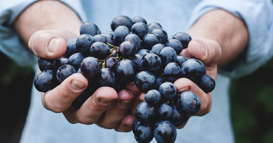 Professional Tips for Aging Spanish Wine
