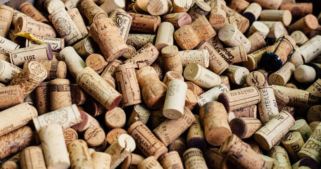 The History of Tempranillo Grapes