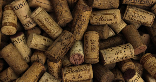 Wine Education and Tourism in Spain