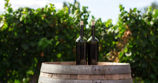 Celebrating Tempranillo: Wine Festivals to Visit