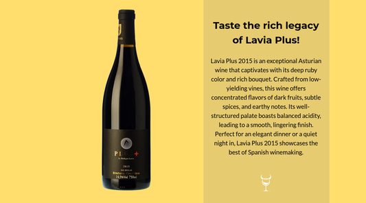 Discover the Allure of Lavia Plus 2015