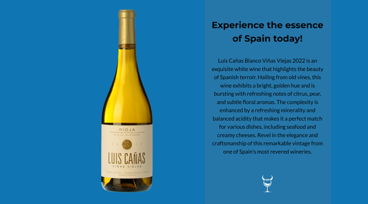 Discover the Charm of Luis Cañas Blanco 2022