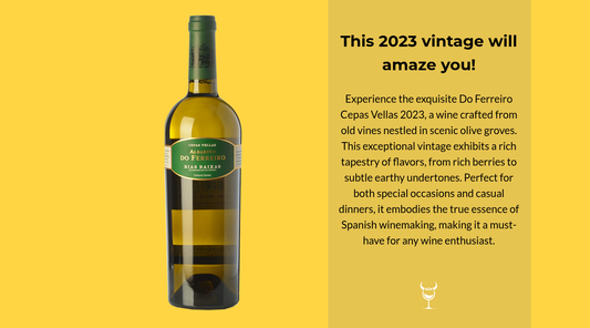 Discover the Allure of Do Ferreiro Cepas Vellas 2023