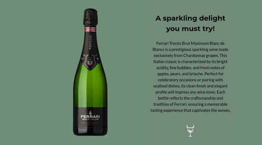 Experience Elegance with Ferrari Trento