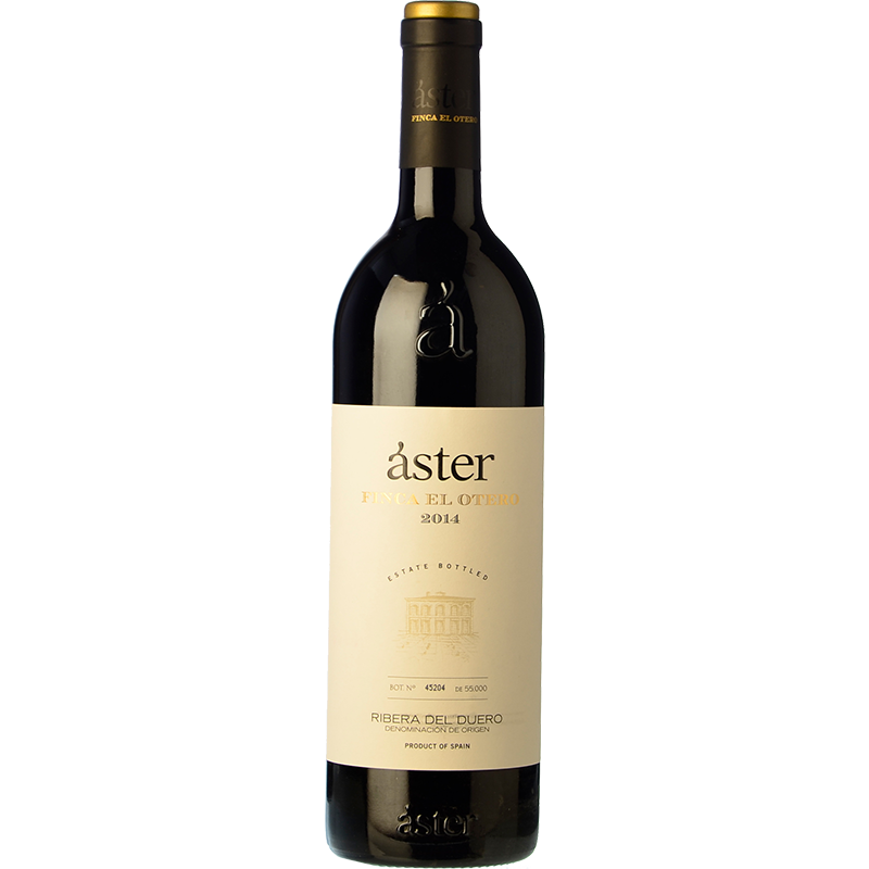 Áster Finca El Otero 2019