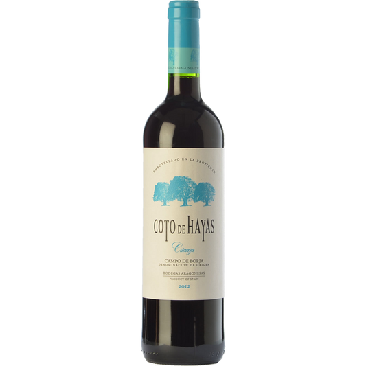 Coto de Hayas Crianza 2021