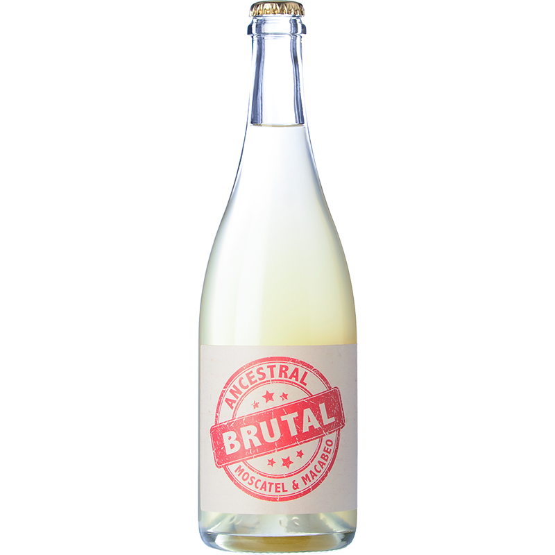 Cueva Brutal Ancestral 2023