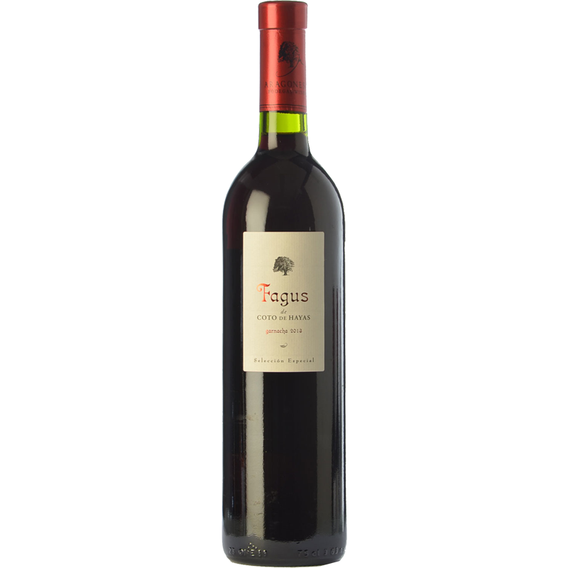 Fagus de Coto de Hayas Selección Especial 2022