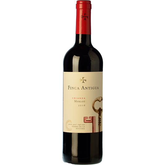 Finca Antigua Merlot 2020