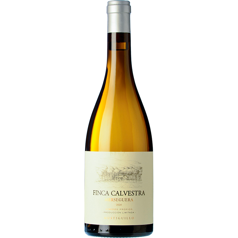 Finca Calvestra 2023