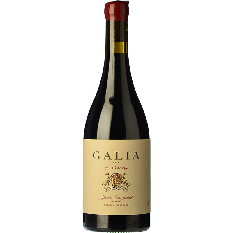 Galia Clos Santuy 2018