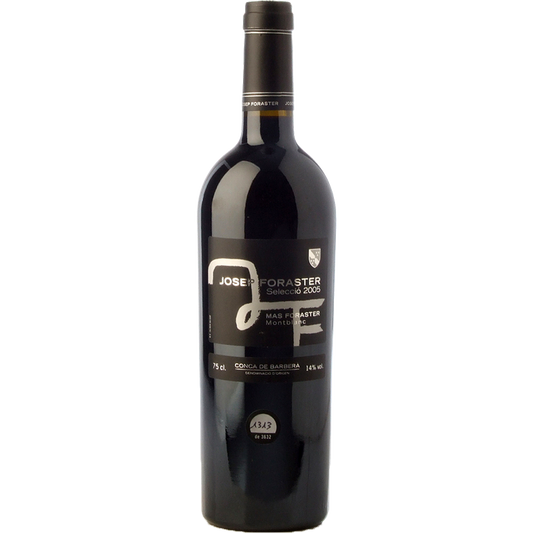 Josep Foraster Selecció 2022