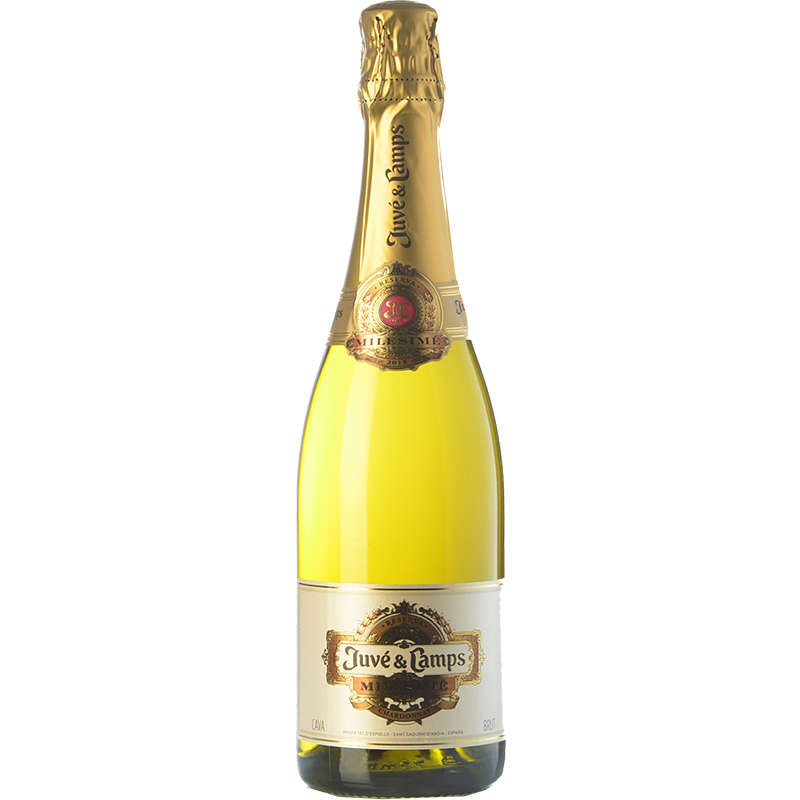 Juvé & Camps Millésimé 2019