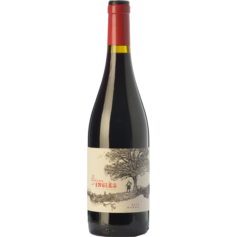 La Encina del Inglés 2023