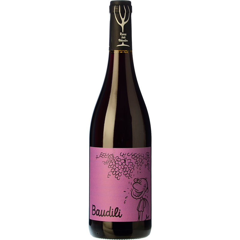 Mas Candí Baudili Negre 2023