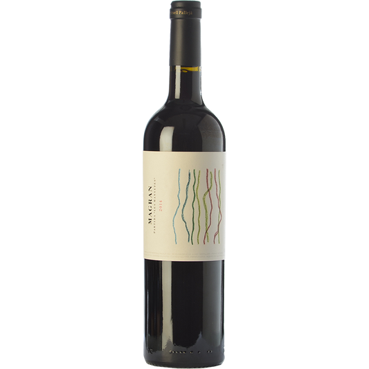 Meritxell Pallejà Magran 2017