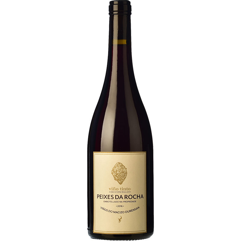 Peixes Peixes da Rocha 2019