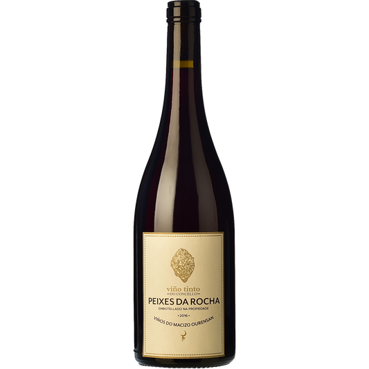 Peixes Peixes da Rocha 2019