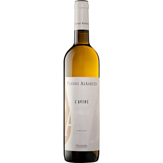 Planas Albareda L'Avenc 2024