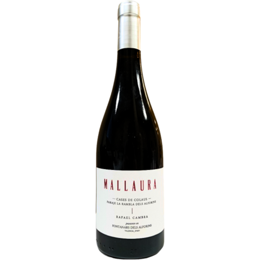 Rafael Cambra Mallaura 2023