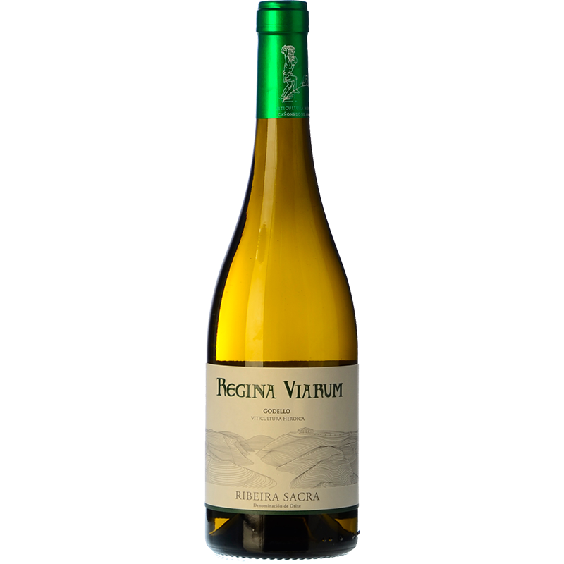 Regina Viarum Godello 2024