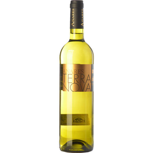 Añares Terranova Rueda Verdejo 2019