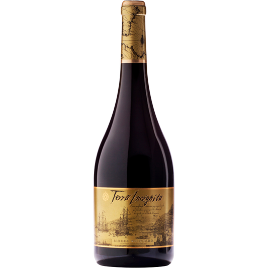 Terra Incógnita 2020