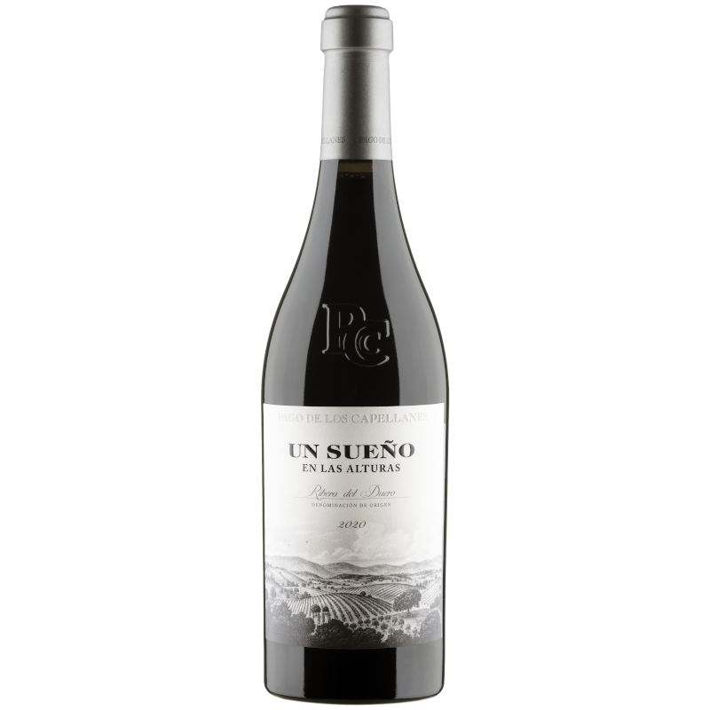 Un Sueño en las Alturas 2021